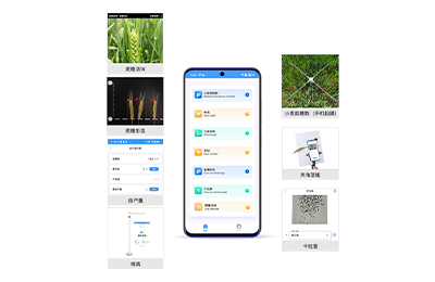 定西市小麦表型检测仪IN-XM04